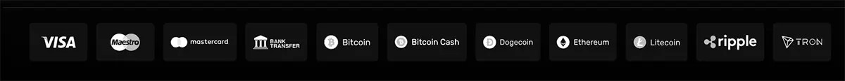 Payment methods row showing Visa, Maestro, Mastercard, bank transfer, Bitcoin, Bitcoin Cash, Dogecoin, Ethereum, Litecoin, Ripple, and TRON on a dark background.