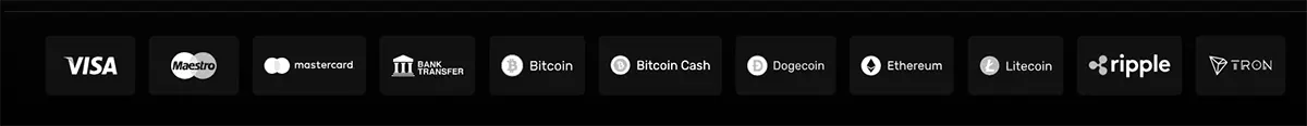 Payment methods row showing Visa, Maestro, Mastercard, bank transfer, Bitcoin, Bitcoin Cash, Dogecoin, Ethereum, Litecoin, Ripple, and TRON on a dark background.