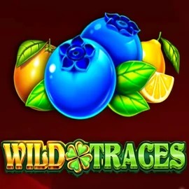 Wild Traces game by Amusnet Interactive – logo hosted on Harry Casino